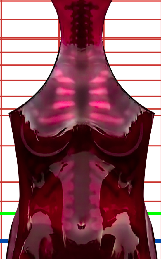 Digital artwork of a glossy, stylized female torso showing highlighted ribcage and abdominal bones, with a red grid background featuring horizontal lines in red, green, and blue.